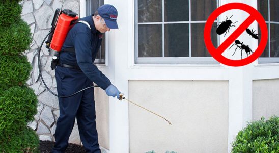 Yenice Akrep İlaçlama böcek ilaçlama ve haşere kontrolü — ilaclama-tr.com